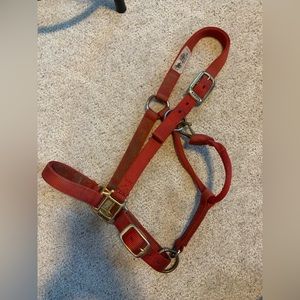 Horse Halter Red